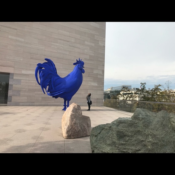 Meet your Posher, Fabiola - Picture 1 of 1